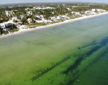 Arial picture of beachfront with ccell reef visible beneath the water