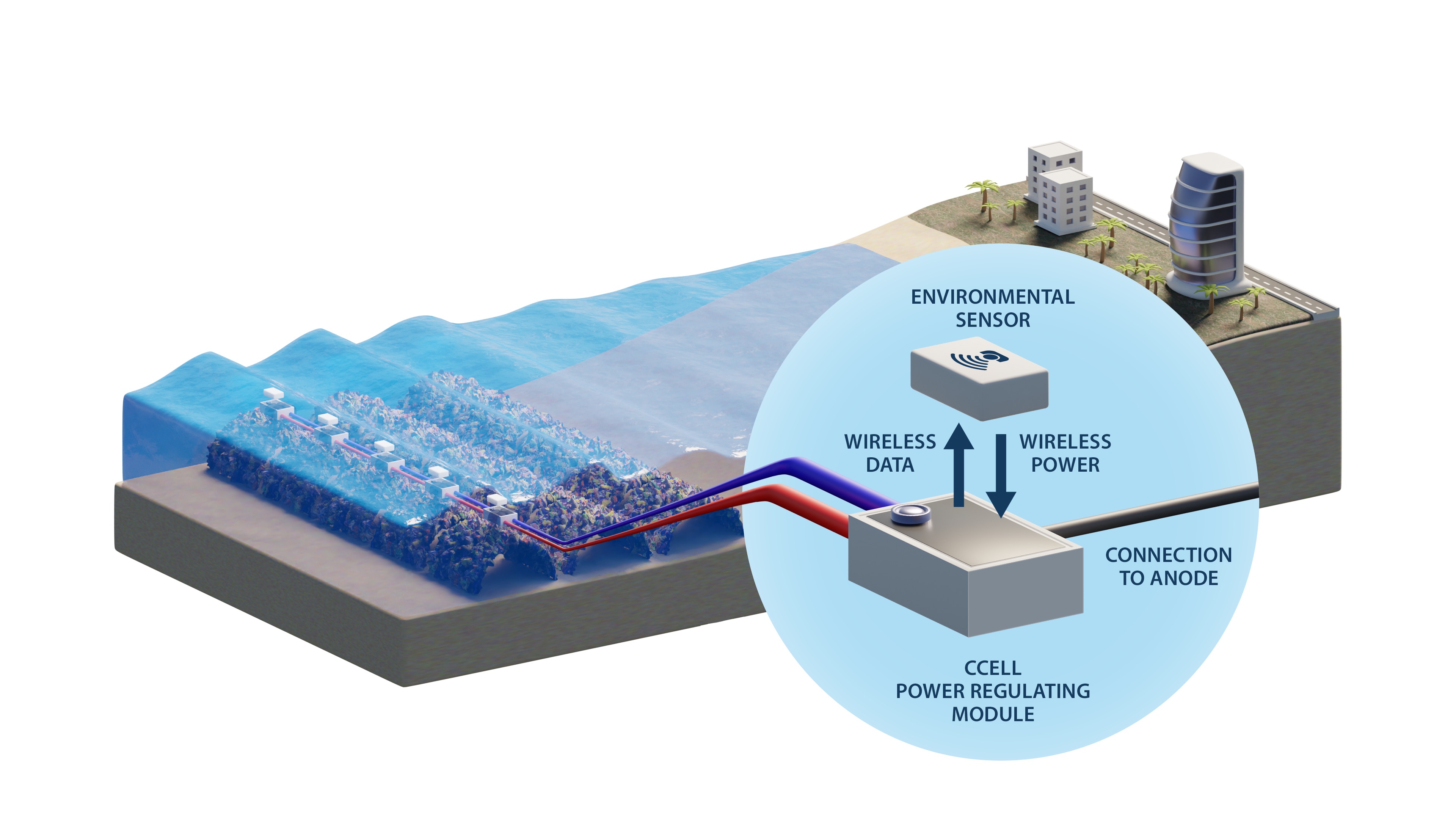 Coastal Model