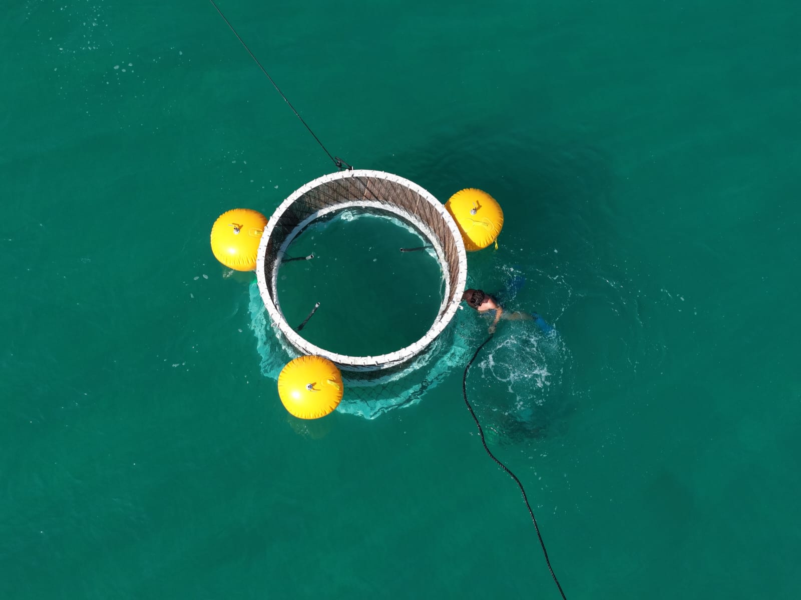 Hyperboloid reef being installed